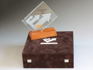 logózott bársony díszdoboz